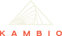 Kambio Financial Coaching